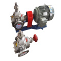 Best Quality High-Performance Standard Parts Rotor Pump Oil Transmission Gear Pump